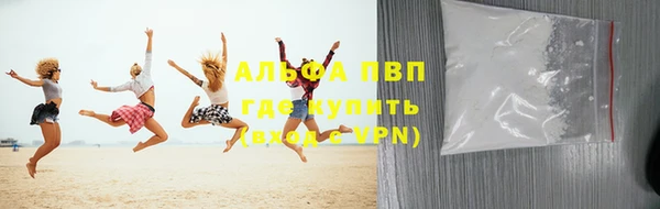 прущие крисы Алзамай
