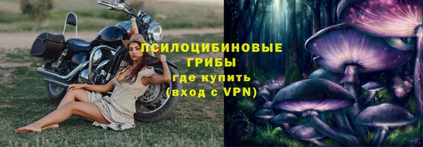 МДПВ Абаза