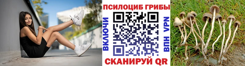 Псилоцибиновые грибы MAGIC MUSHROOMS  Бавлы 